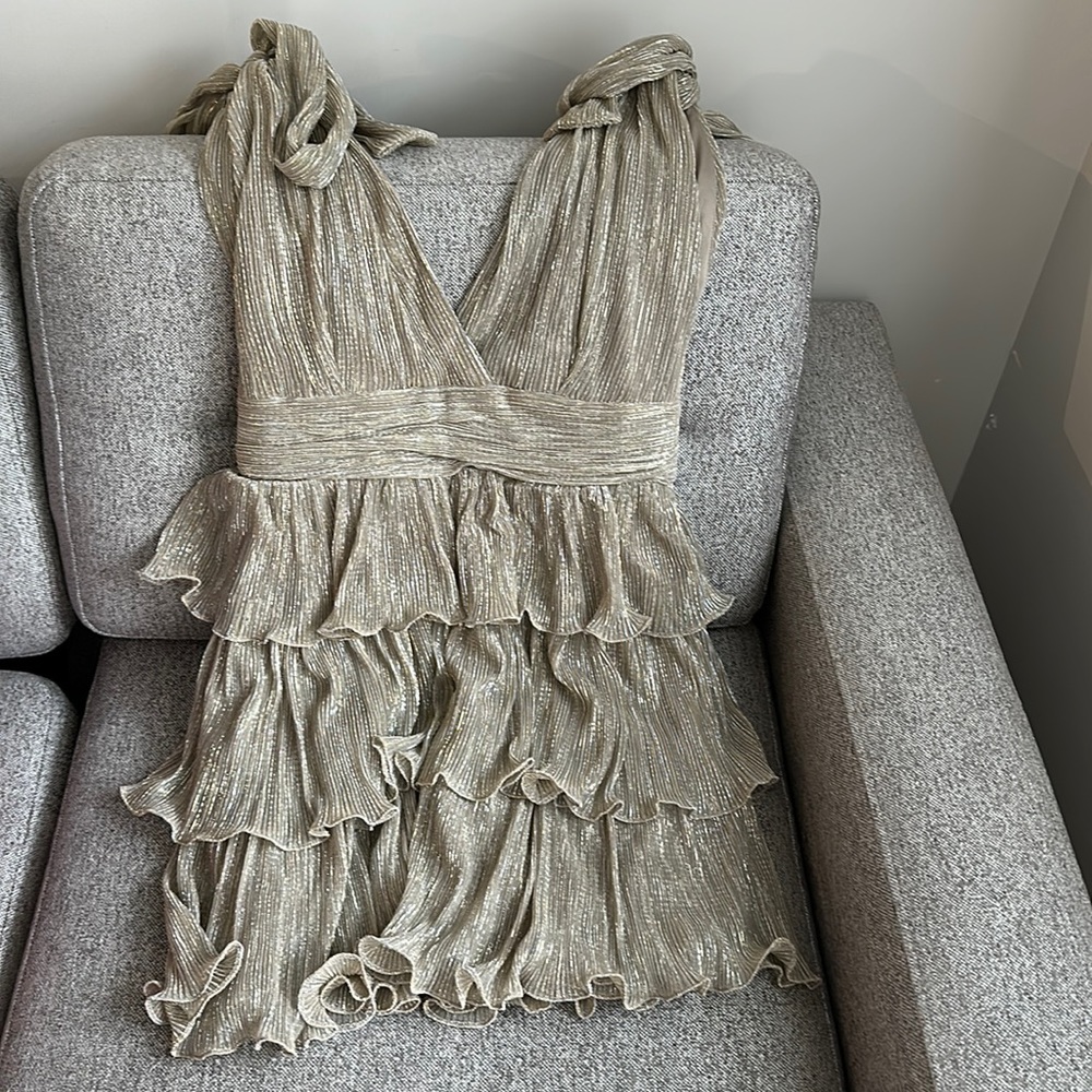 VICI Modern Day Fairytale Plisse Dress